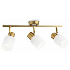 Спот ambrella light tr tr3972